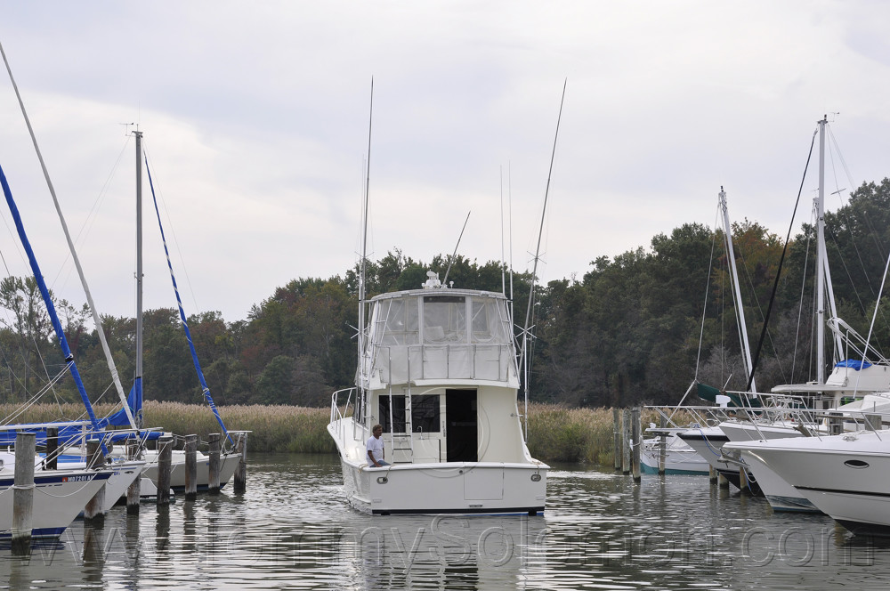 46' Hatteras HP Convertible-1983 "Magic Hat" - 740