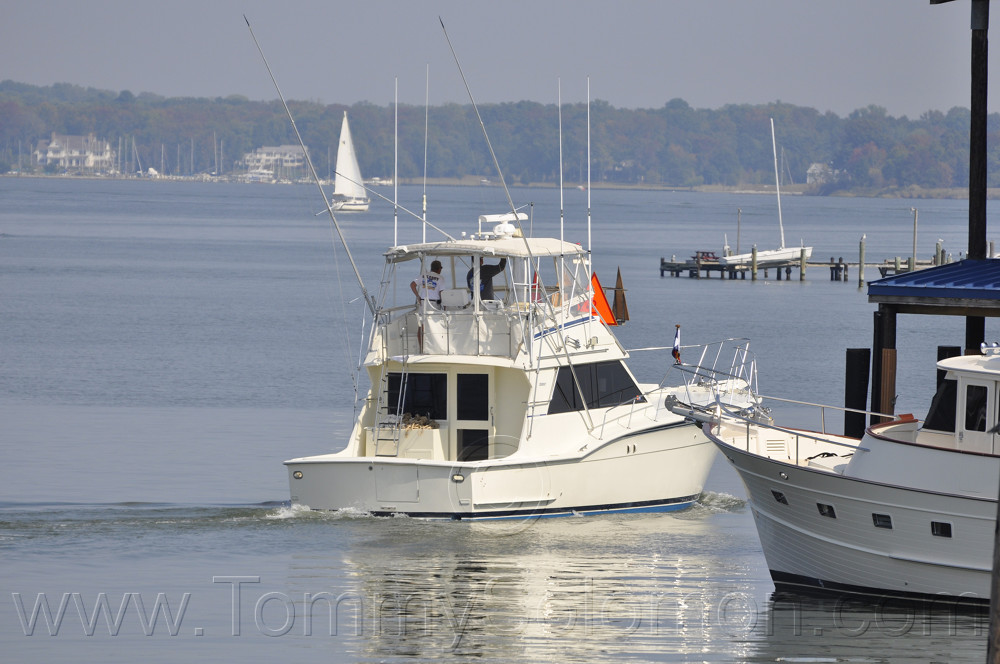 46' Hatteras HP Convertible-1983 "Magic Hat" - 773