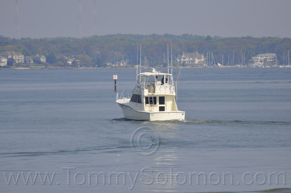 46' Hatteras HP Convertible-1983 "Magic Hat" - 774